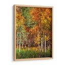 Aspen Glen Ii - David Drost | Cuadro decorativo de Canvas Lab
