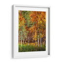 Aspen Glen Ii - David Drost | Cuadro decorativo de Canvas Lab