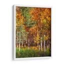 Aspen Glen Ii - David Drost | Cuadro decorativo de Canvas Lab