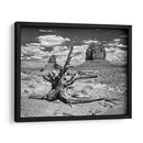 Visión Del Desierto De Bandw V - David Drost | Cuadro decorativo de Canvas Lab