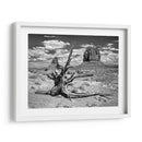 Visión Del Desierto De Bandw V - David Drost | Cuadro decorativo de Canvas Lab