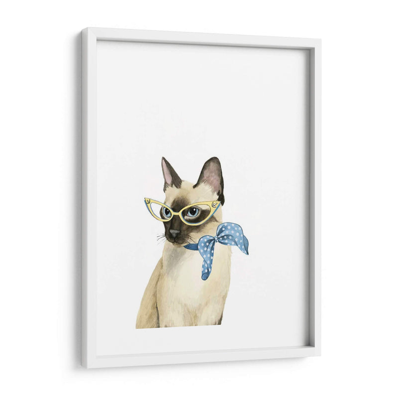 Cool Cat Ii - Grace Popp | Cuadro decorativo de Canvas Lab