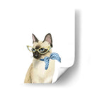 Cool Cat Ii - Grace Popp | Cuadro decorativo de Canvas Lab