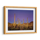 Cactus Ver I - David Drost | Cuadro decorativo de Canvas Lab