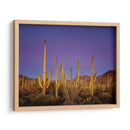 Cactus Ver I - David Drost | Cuadro decorativo de Canvas Lab