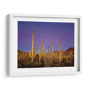 Cactus Ver I - David Drost | Cuadro decorativo de Canvas Lab