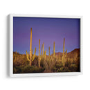 Cactus Ver I - David Drost | Cuadro decorativo de Canvas Lab