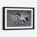 La fuerza del caballo | Cuadro decorativo de Canvas Lab