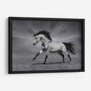 La fuerza del caballo | Cuadro decorativo de Canvas Lab