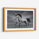 La fuerza del caballo | Cuadro decorativo de Canvas Lab