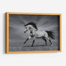 La fuerza del caballo | Cuadro decorativo de Canvas Lab