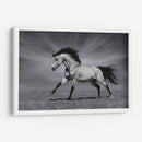 La fuerza del caballo | Cuadro decorativo de Canvas Lab