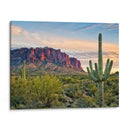 Cactus View Ii - David Drost | Cuadro decorativo de Canvas Lab