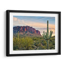 Cactus View Ii - David Drost | Cuadro decorativo de Canvas Lab