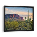 Cactus View Ii - David Drost | Cuadro decorativo de Canvas Lab