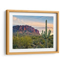 Cactus View Ii - David Drost | Cuadro decorativo de Canvas Lab