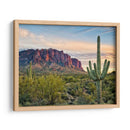 Cactus View Ii - David Drost | Cuadro decorativo de Canvas Lab