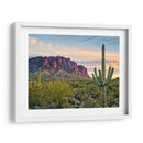 Cactus View Ii - David Drost | Cuadro decorativo de Canvas Lab