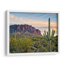 Cactus View Ii - David Drost | Cuadro decorativo de Canvas Lab