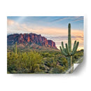 Cactus View Ii - David Drost | Cuadro decorativo de Canvas Lab