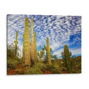 Cactus View Iii - David Drost | Cuadro decorativo de Canvas Lab