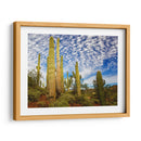 Cactus View Iii - David Drost | Cuadro decorativo de Canvas Lab