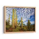 Cactus View Iii - David Drost | Cuadro decorativo de Canvas Lab