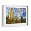 Cactus View Iii - David Drost | Cuadro decorativo de Canvas Lab