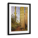 Cactus View Iv - David Drost | Cuadro decorativo de Canvas Lab