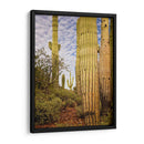 Cactus View Iv - David Drost | Cuadro decorativo de Canvas Lab