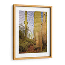 Cactus View Iv - David Drost | Cuadro decorativo de Canvas Lab