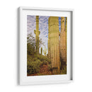 Cactus View Iv - David Drost | Cuadro decorativo de Canvas Lab