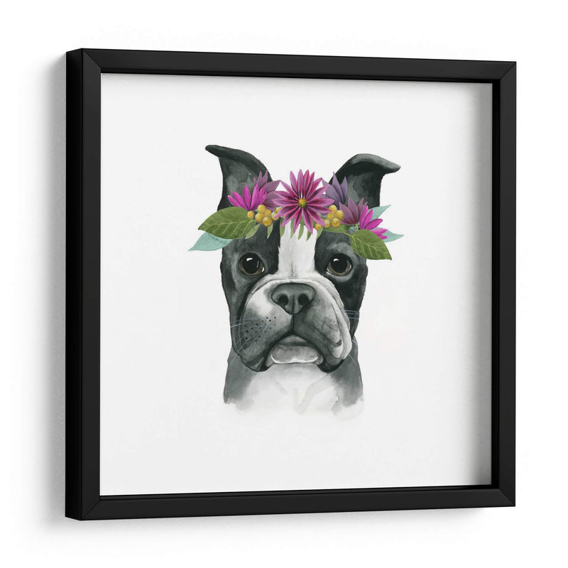 Flor Crown Pup Ii - Grace Popp | Cuadro decorativo de Canvas Lab