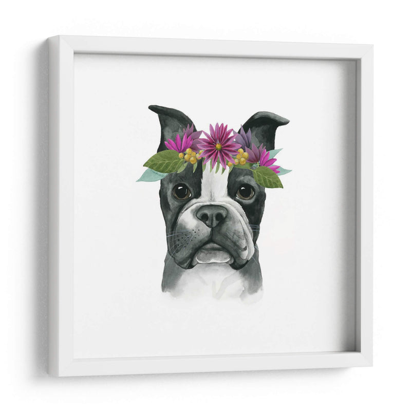 Flor Crown Pup Ii - Grace Popp | Cuadro decorativo de Canvas Lab