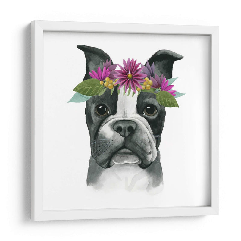 Flor Crown Pup Ii - Grace Popp | Cuadro decorativo de Canvas Lab