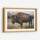 Bisonte Solitario Iv - Adam Mead | Cuadro decorativo de Canvas Lab