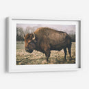 Bisonte Solitario Iv - Adam Mead | Cuadro decorativo de Canvas Lab