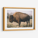 Bisonte Solitario V - Adam Mead | Cuadro decorativo de Canvas Lab