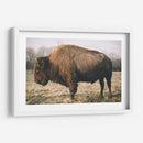 Bisonte Solitario V - Adam Mead | Cuadro decorativo de Canvas Lab