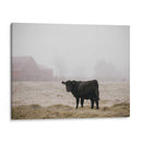 Estudio De Granjas Ii - Adam Mead | Cuadro decorativo de Canvas Lab