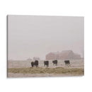 Estudio De Granja Iv - Adam Mead | Cuadro decorativo de Canvas Lab