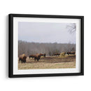 Estudio De Granja Vi - Adam Mead | Cuadro decorativo de Canvas Lab