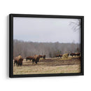 Estudio De Granja Vi - Adam Mead | Cuadro decorativo de Canvas Lab