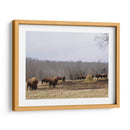 Estudio De Granja Vi - Adam Mead | Cuadro decorativo de Canvas Lab