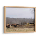 Estudio De Granja Vi - Adam Mead | Cuadro decorativo de Canvas Lab