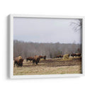 Estudio De Granja Vi - Adam Mead | Cuadro decorativo de Canvas Lab