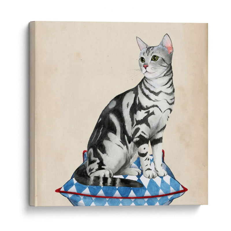 Lady Cat I - Grace Popp | Cuadro decorativo de Canvas Lab