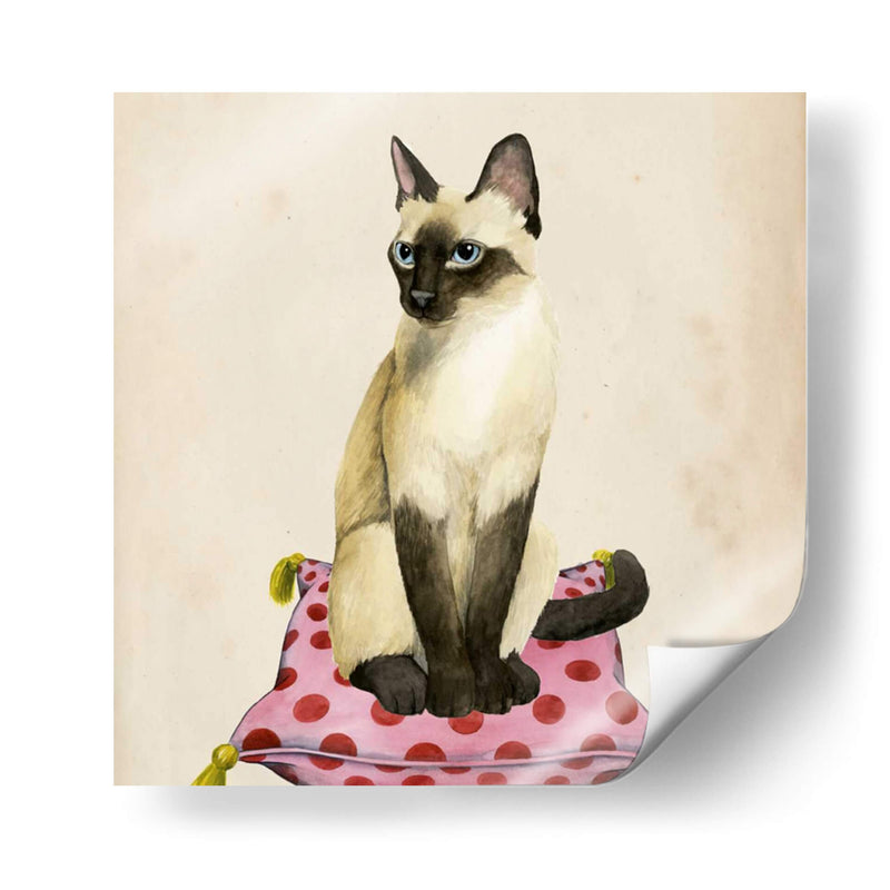 Lady Cat Ii - Grace Popp | Cuadro decorativo de Canvas Lab