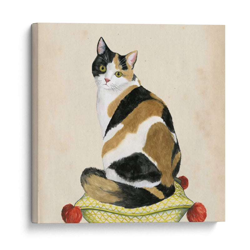 Lady Cat Iii - Grace Popp | Cuadro decorativo de Canvas Lab