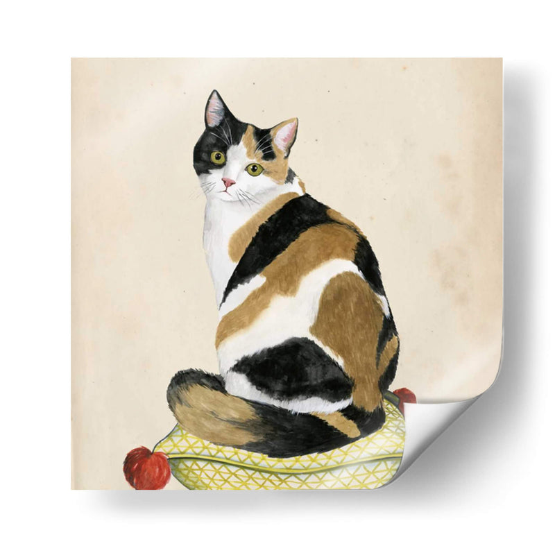 Lady Cat Iii - Grace Popp | Cuadro decorativo de Canvas Lab